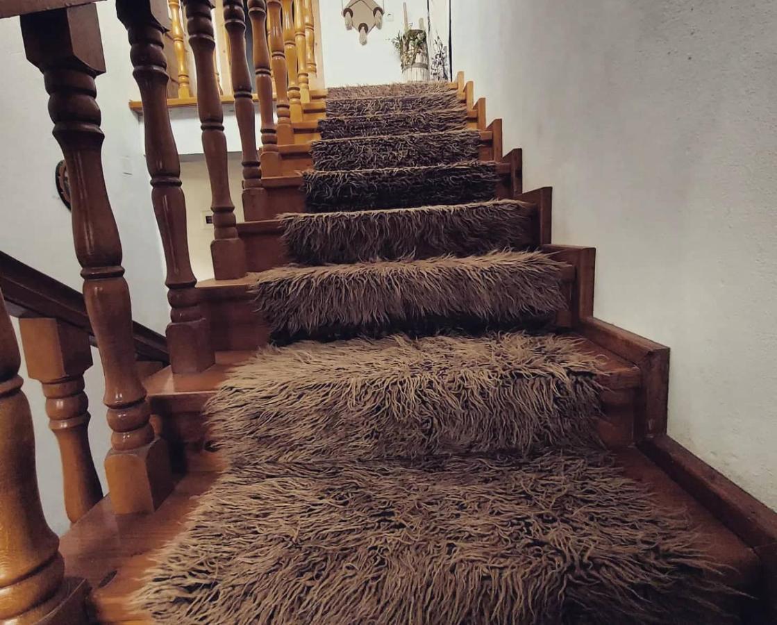 Prespa'S Balcony Guesthouse Dolna Gorica Bagian luar foto