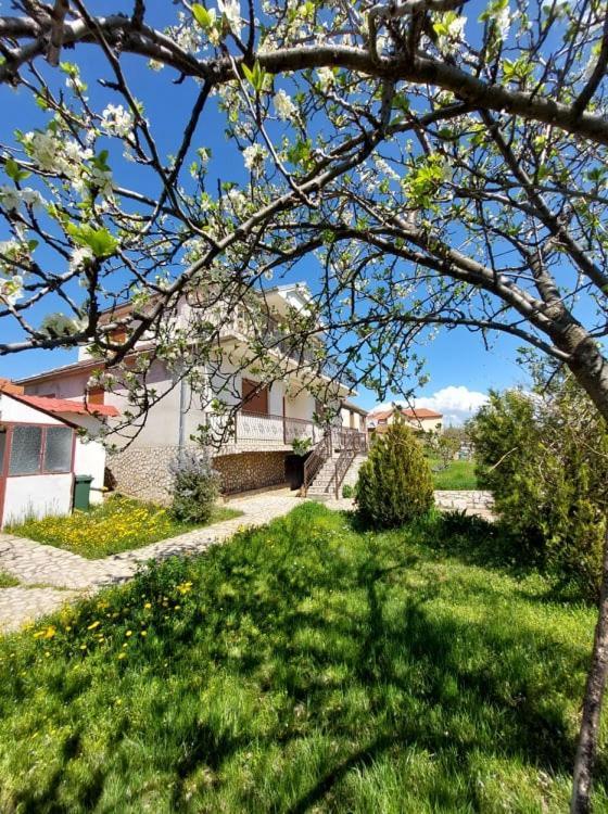 Prespa'S Balcony Guesthouse Dolna Gorica Bagian luar foto